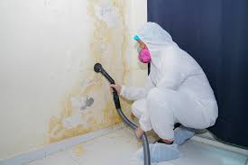 Biohazard Mold Removal in Morris, OK